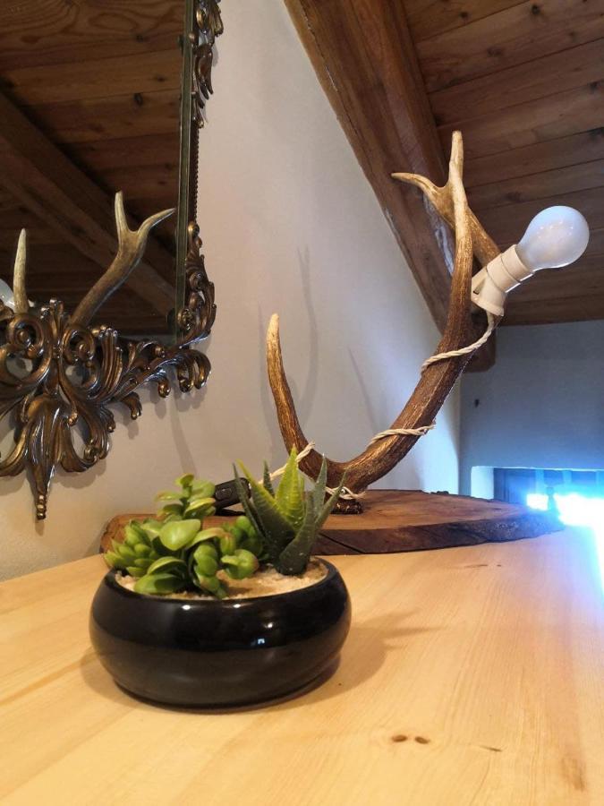 Appartamento La Torre Vinadio Kültér fotó